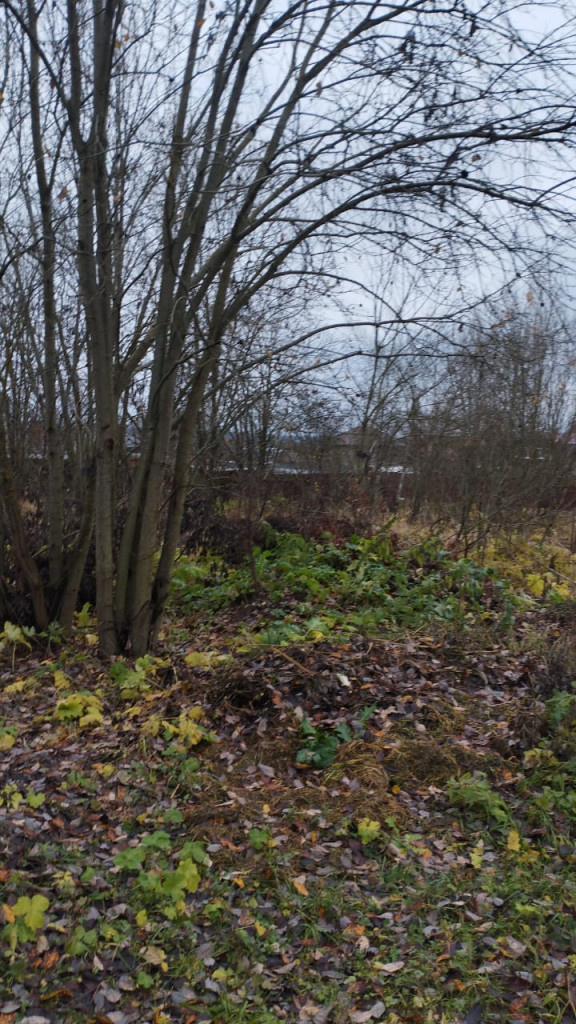 Продается участок ИЖС 10 соток в поселке Брикет Рузского района. Рядом Рузское водохранилище, озёра, леса. По скоростному Новорижскому шоссе можно быстро доехать до Москвы.
Участок ровный, правильной формы, сухой. Вокруг живут соседи, построены хорошие дома. Круглогодичный подъезд прямо к участку